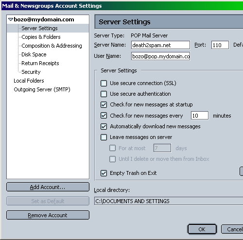 Netscape setup